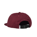 Ballpark 6-Panel - Alpine Division